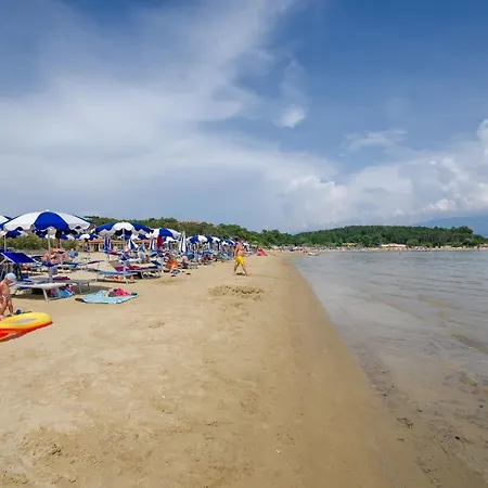 Marija Durdica * 洛帕